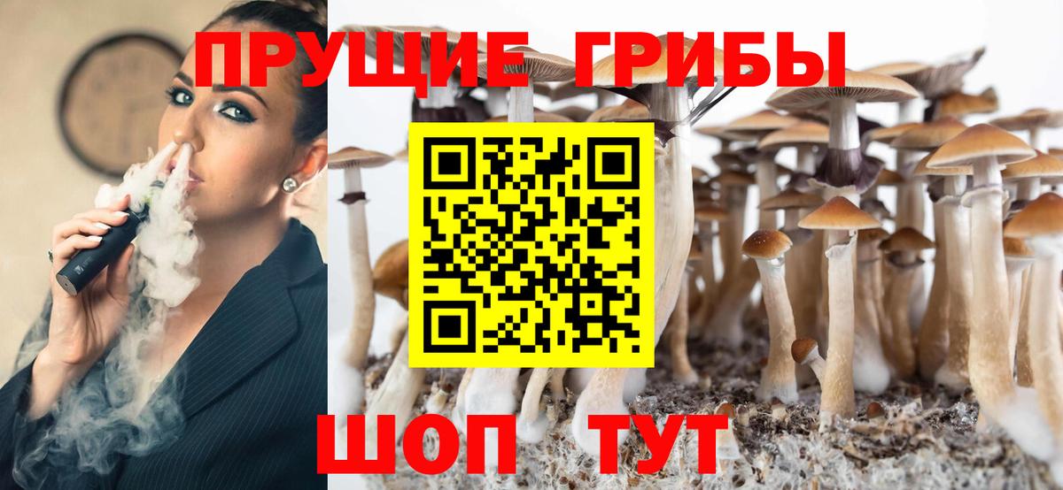 Псилоцибиновые грибы мицелий  магазин продажи наркотиков  Вход с VPN  Великий Устюг  Галлюциногенные грибы прущие грибы 